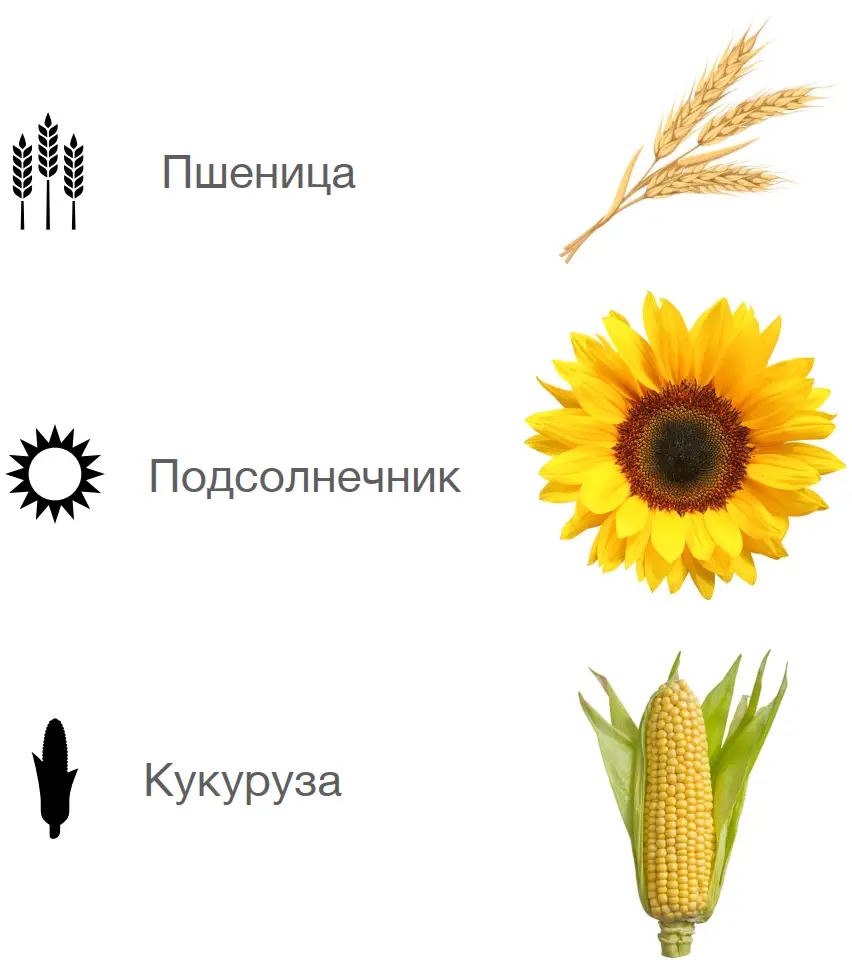 image-3-ru